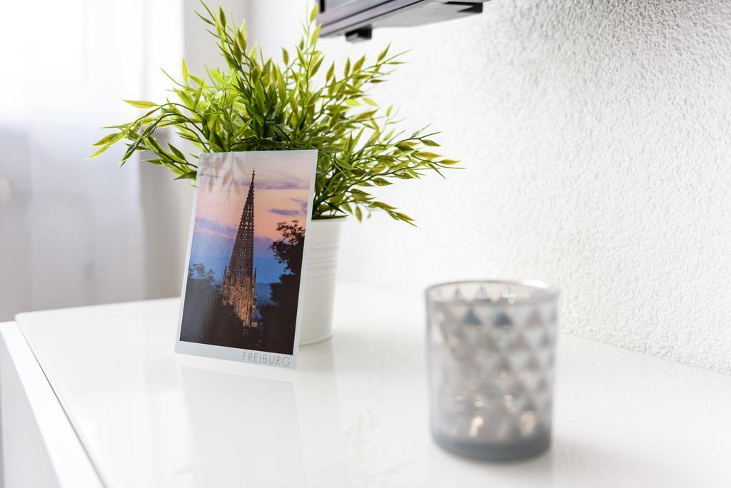 Deluxe Appartements Am Muenster Freiburg im Breisgau Luaran gambar